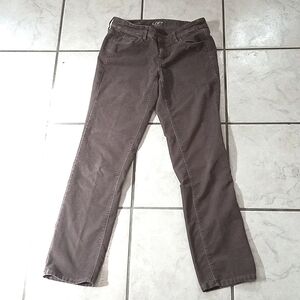 Ann Taylor Loft Modern Straight Cords